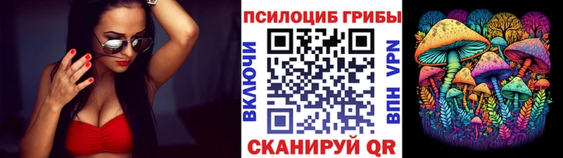 Галлюциногенные грибы Psilocybine cubensis  ссылка на мегу зеркало  Могоча 