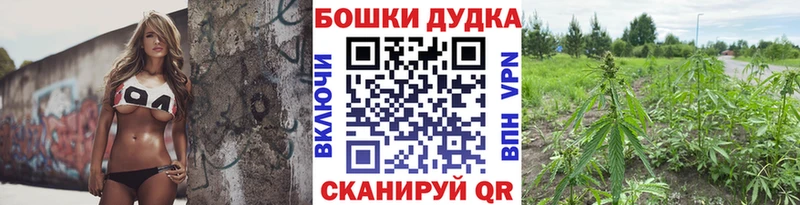 MEGA tor  даркнет сайт  Могоча  МАРИХУАНА OG Kush 